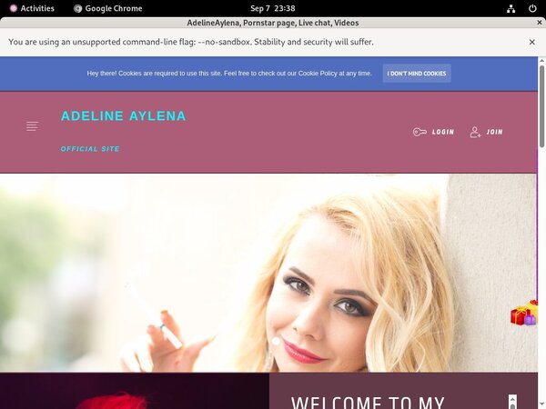 AdelineAylena Accounts Working