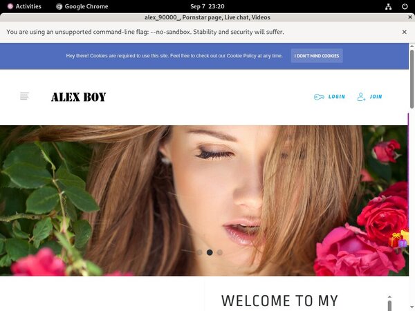 Alex90000.modelcentro.com Website Password