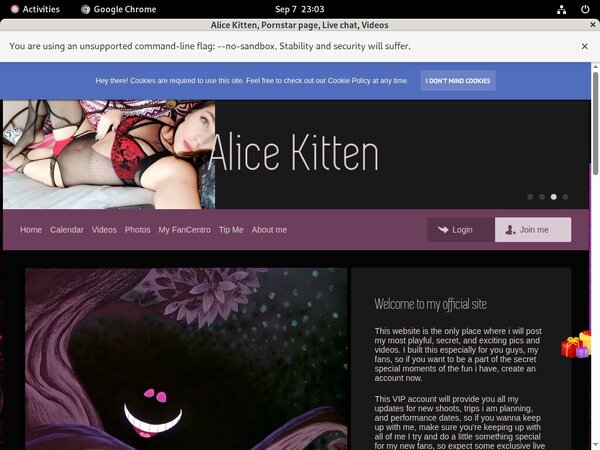 Alice Kitten Discounted