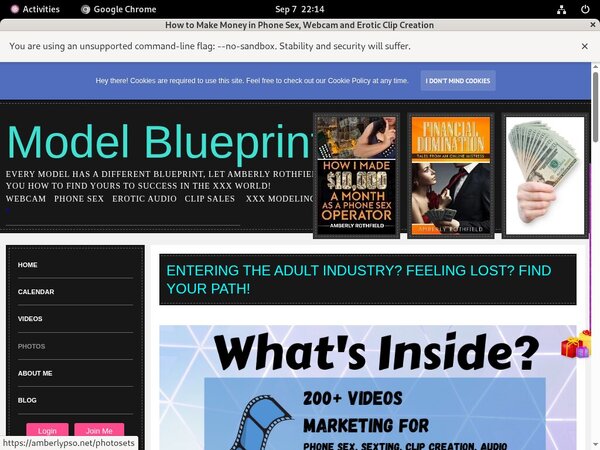 [Image: Amberlypsonet-Log-In.jpg]