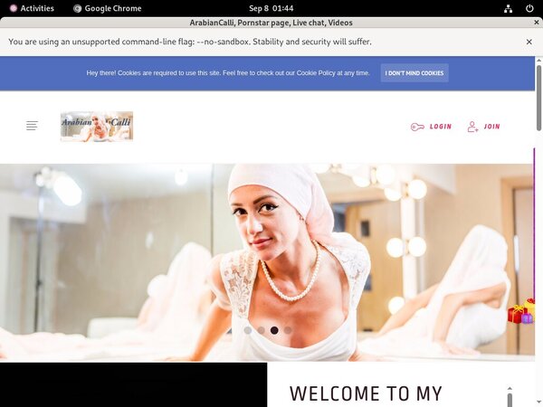 Arabiancalli.modelcentro.com Paypal Purchase
