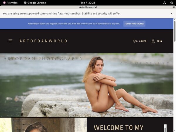 Artofdan Promo Trial