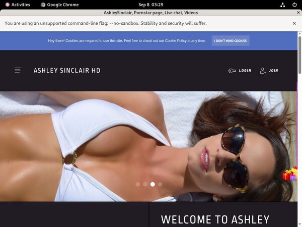 AshleySinclair Net