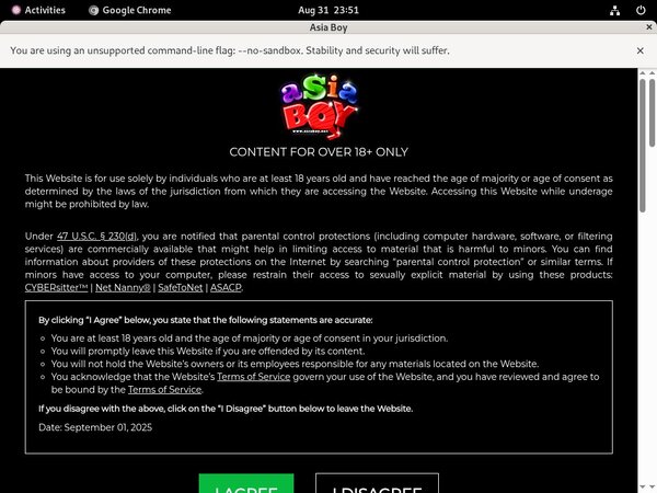 Asia Boy Free Video