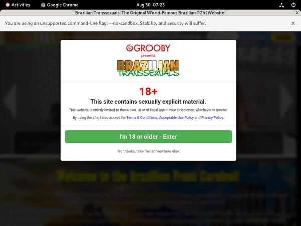 Brazilian Transsexuals Porn Review