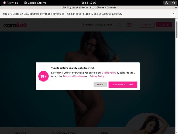 Camlust.com Network