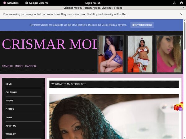 Crismar Model Accounts Passwords