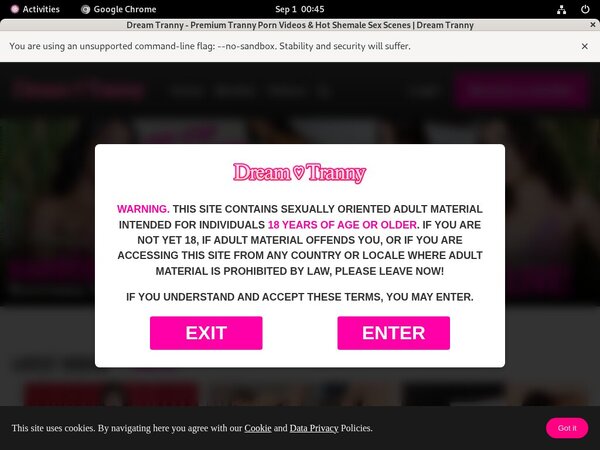 Dream Tranny Discount (up To 70%)