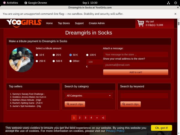 Dreamgirls In Socks Xxx Videos