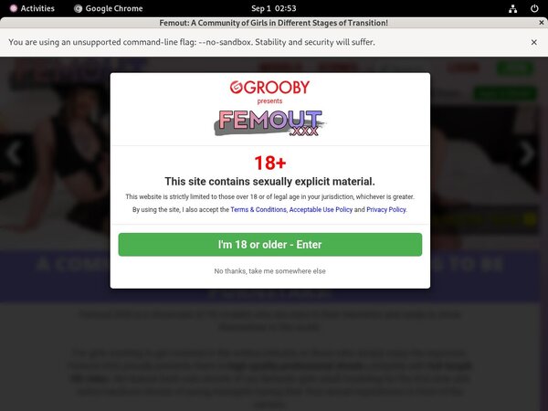 Femout XXX Porn