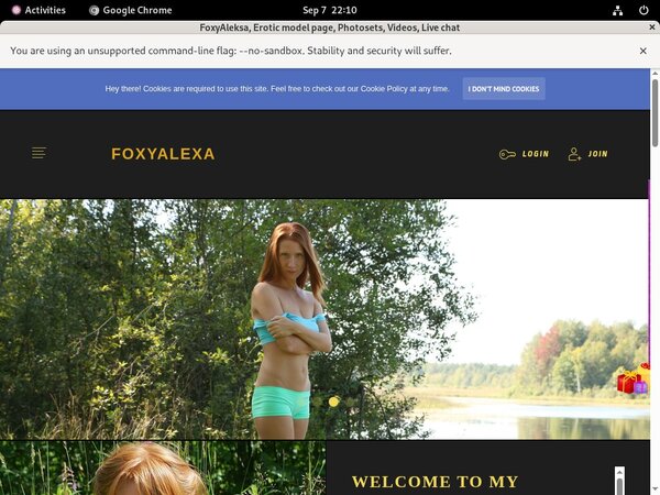 Foxyaleksa.com Accounts And Passwords