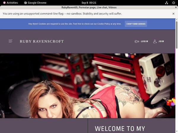 Free Rubyraven69.modelcentro.com Hacked Passwords