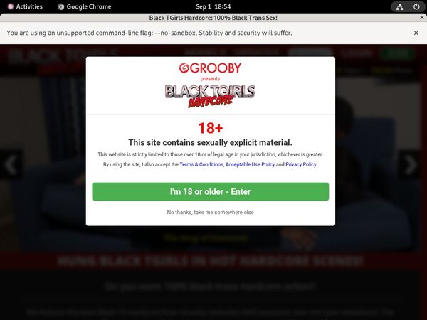 How To Get Free Black TGirls Hardcore Accounts How To Get Free Black TGirls Hardcore Accounts