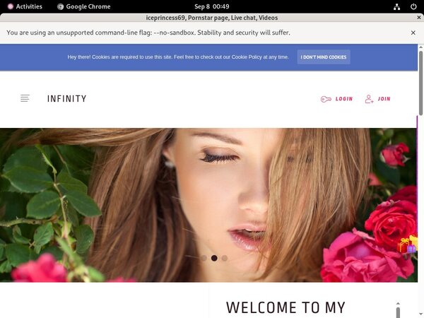 Iceprincess69.modelcentro.com Password Account