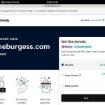 Janeburgess.com Passwords Blog