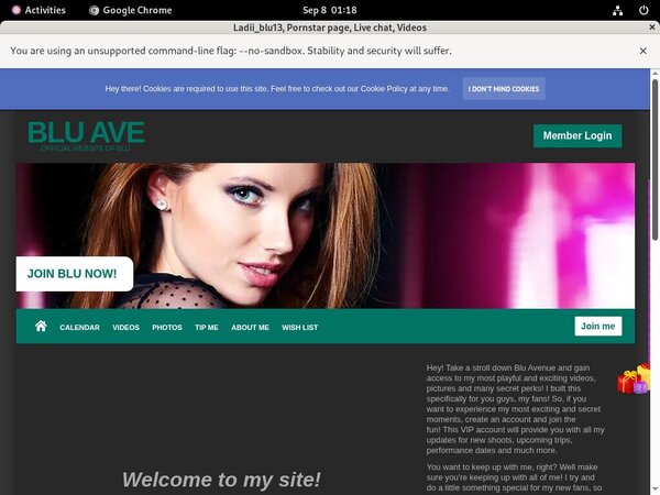 Ladiiblu13.modelcentro.com Gay Videos