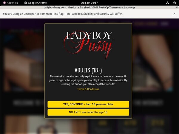Ladyboy Pussy Cheaper