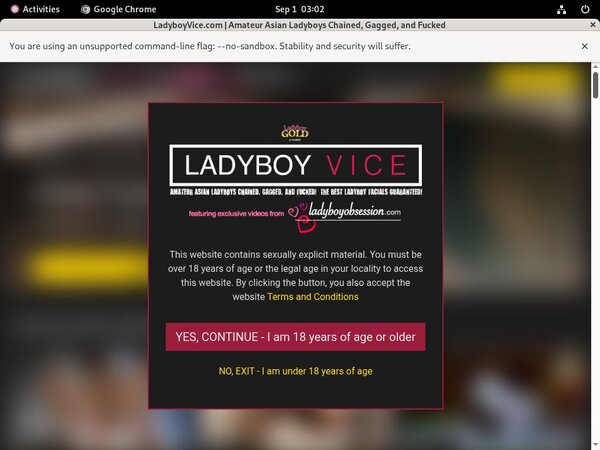 Ladyboy Vice Girl