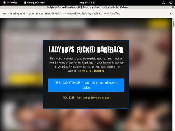 Ladyboysfuckedbareback.com Password Account