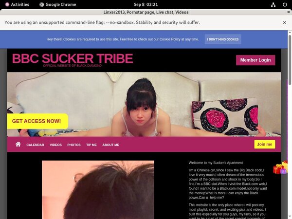 Linxer2013 Sex Movies