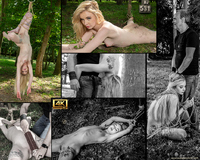 Login Subspaceland Free s1 Login Subspaceland Free s1