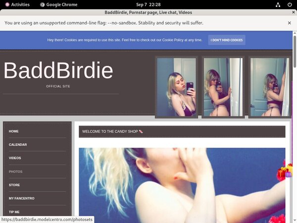 Logins For BaddBirdie Free