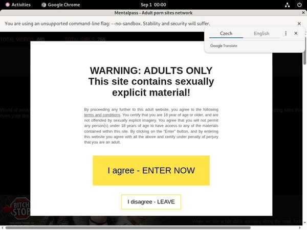 Mentalpass.com Working Pass