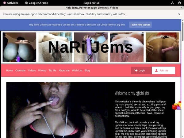 Narijems.modelcentro.com Credits