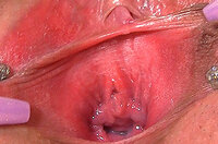 Password For Gape My Pussy s0