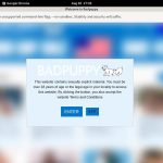 Passwords To Badpuppy