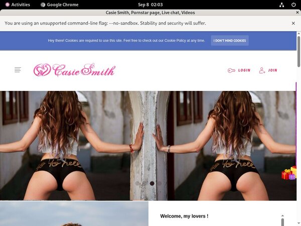 Premium Account For Casiesmith.modelcentro.com