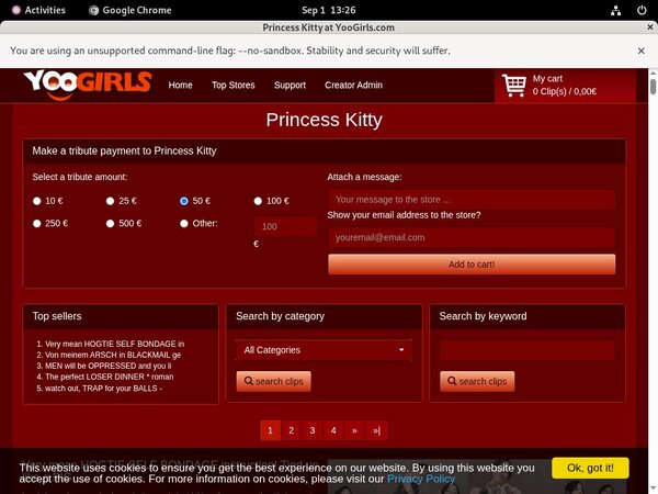 PrincessKitty Accounta