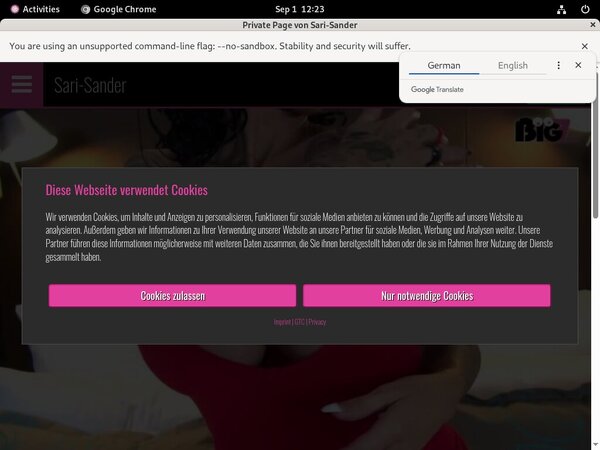 Sari Sander Join Link