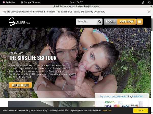 Sins Life Account Information