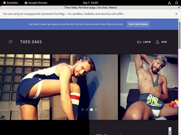 Theooaks.modelcentro.com Passwords 2016