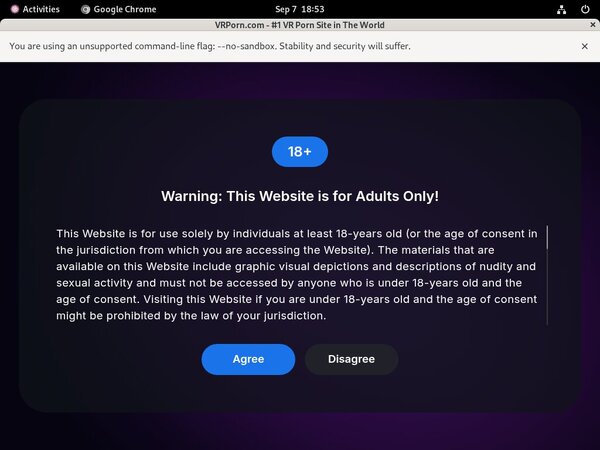 VR Porn Free Preview
