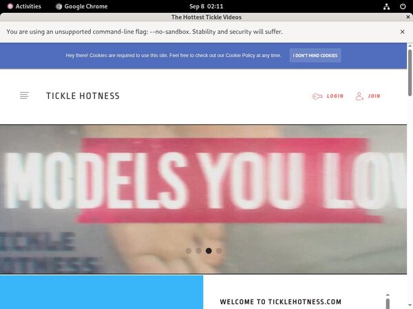 Valid TickleVideos Passwords