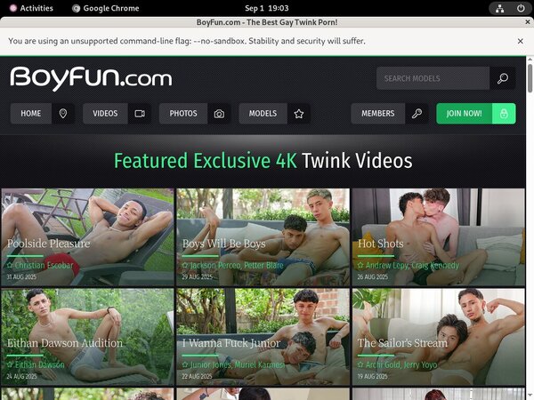 Boyfun Subscription