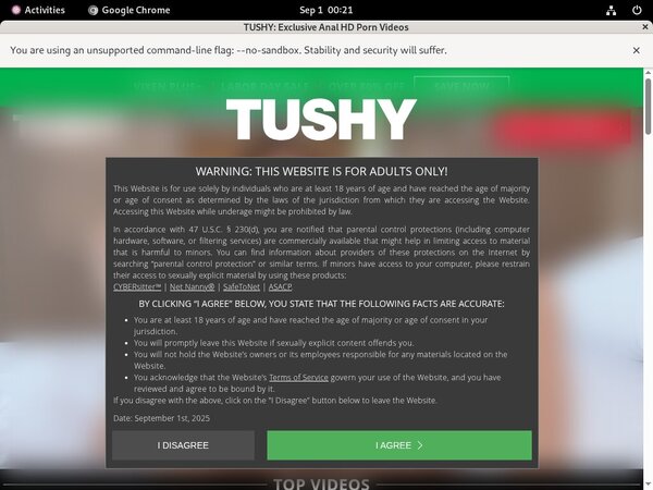 Tushy Password Info