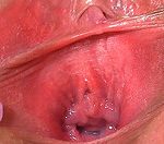 Password For Gape My Pussy