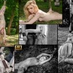 Subspace Land Free Trial Special